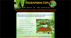 Desktop Screenshot of idigbamboo.com