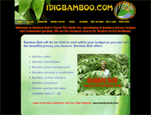 Tablet Screenshot of idigbamboo.com